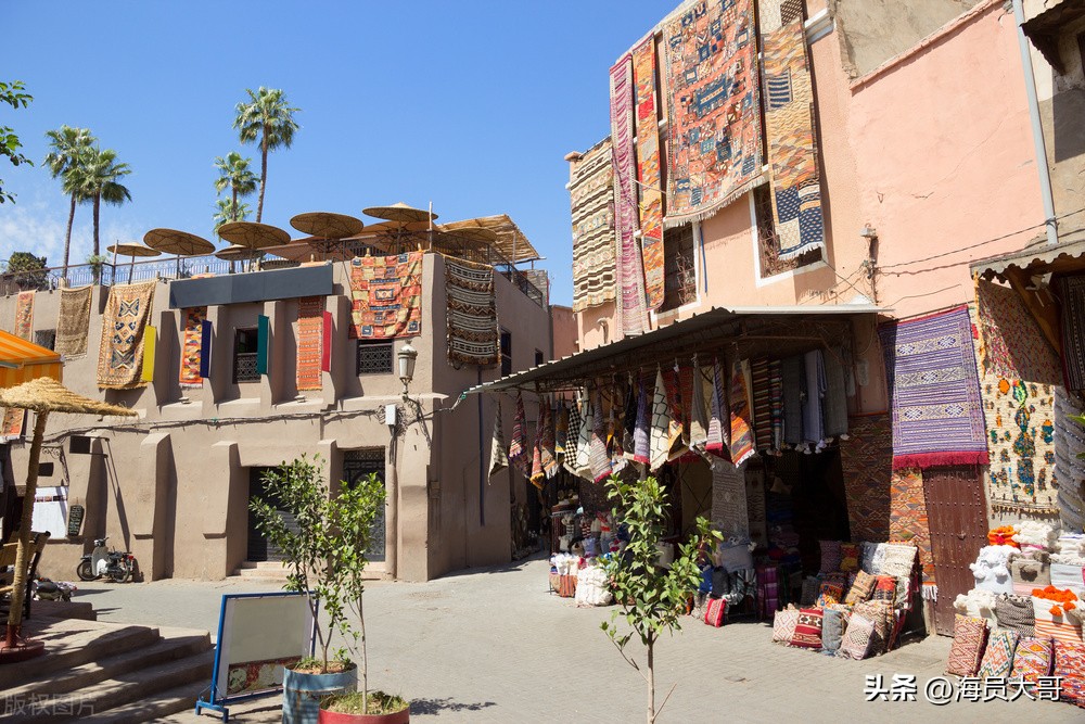 运输偷渡客行政处罚二万元,运输偷渡人员违法所得40万处罚金