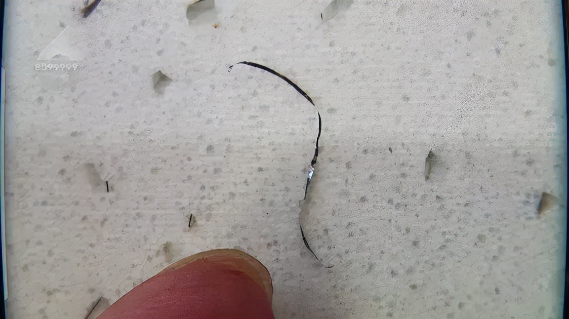 菜品里面吃出钢丝球老板找厨师,餐饮店吃出钢丝球老板态度差