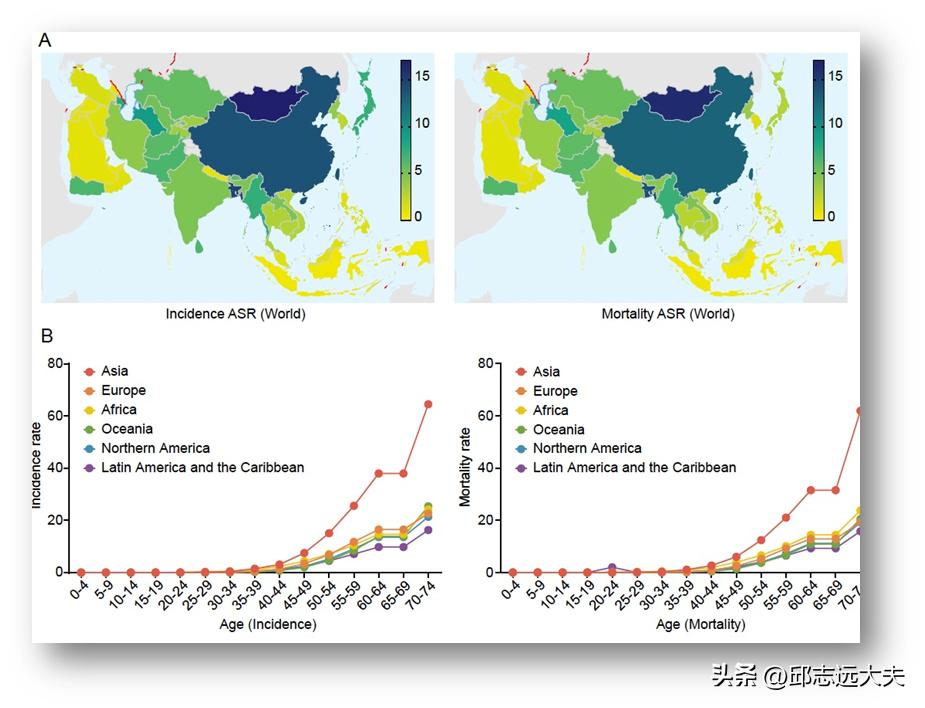 ThoracicCancer|亚洲食管癌流行病学地图