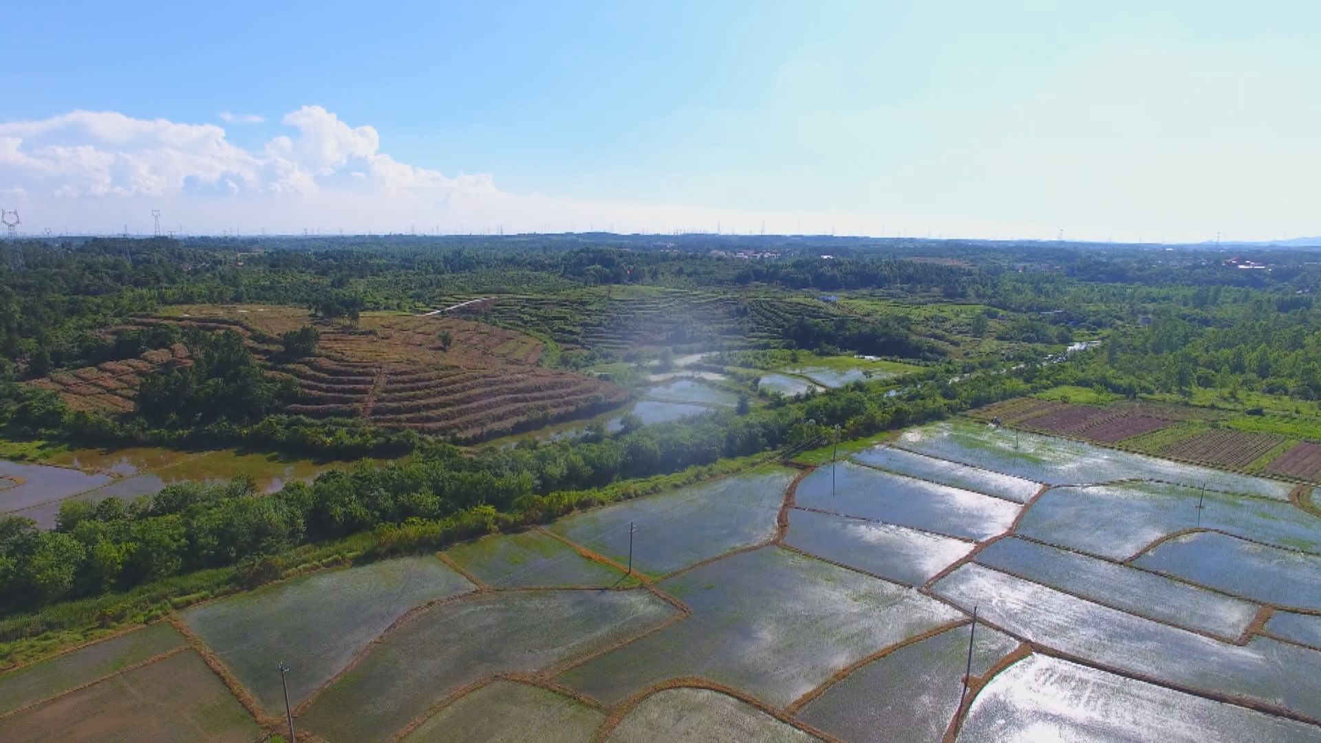 盘活闲置农房推进乡村振兴,盘活土地资源助推乡村振兴