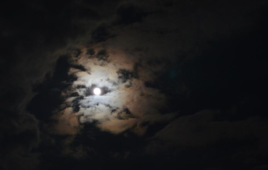 大明山牵牛岗露营,大明山牵牛岗攻略