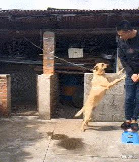 当代网友骂人斯文到什么程度,现代网友骂人能斯文到什么程度