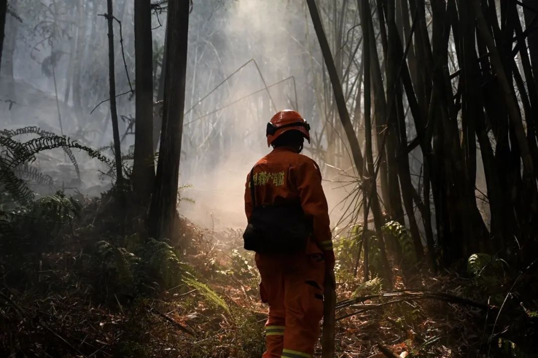 森林消防员应该怎么考,云南森林消防员训练