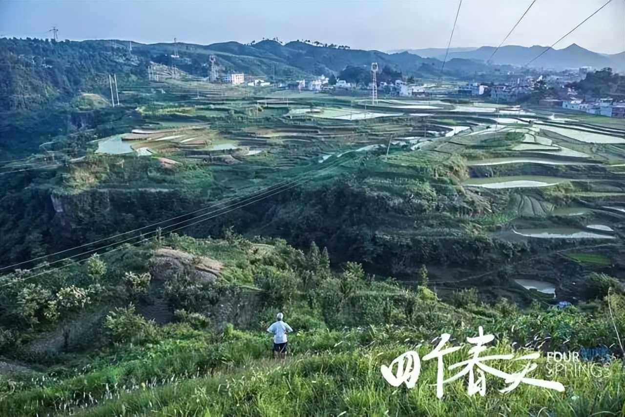 四个春天的背后,四个春天是真的还是假的