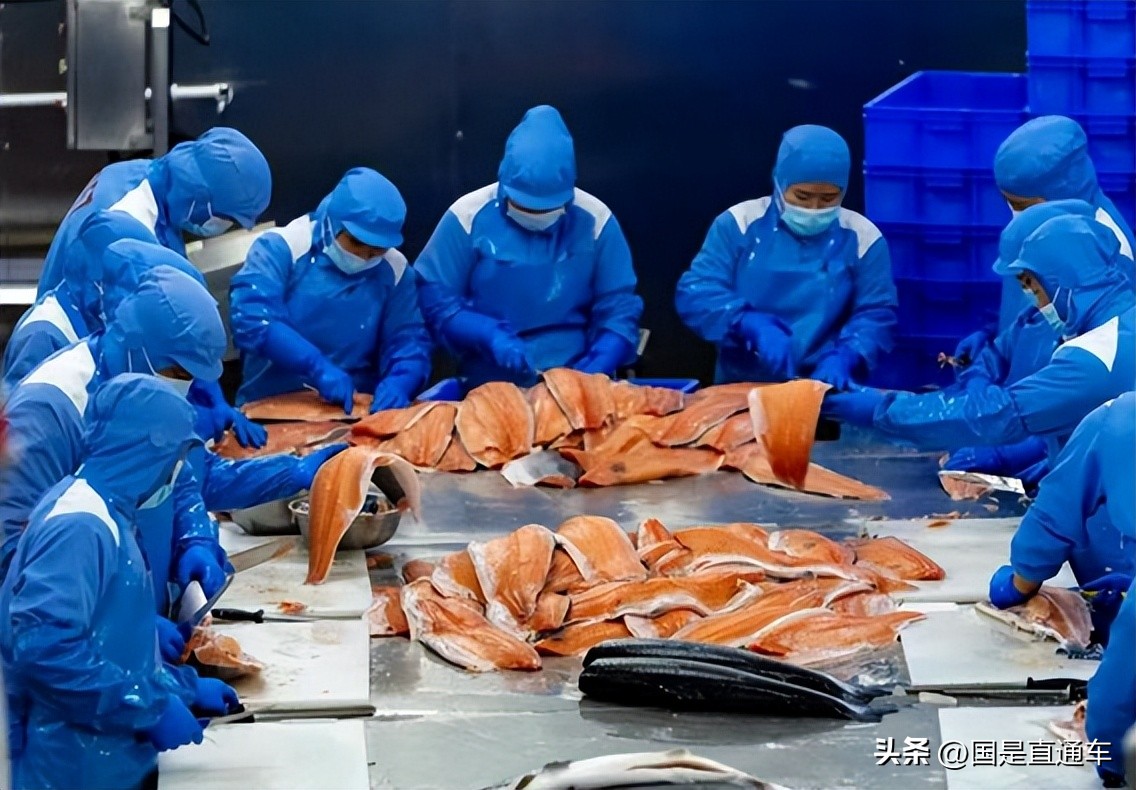 鎸▉涓夋枃楸兼嫾澶氬 (涓夋枃楸兼嫾澶氬鎸▉骞磋揣鍐伴矞椁愭)