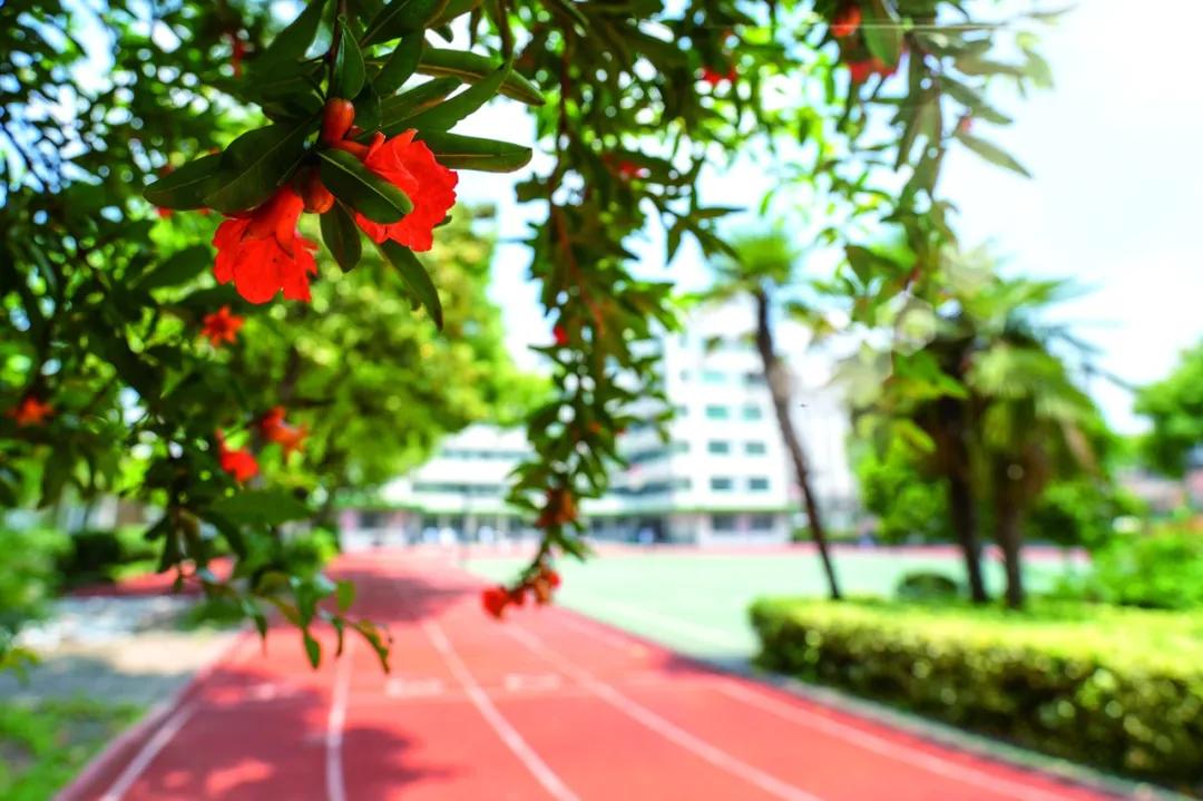 江宁上秦淮初中的最新消息,南京秦淮区第三初中和第五初中