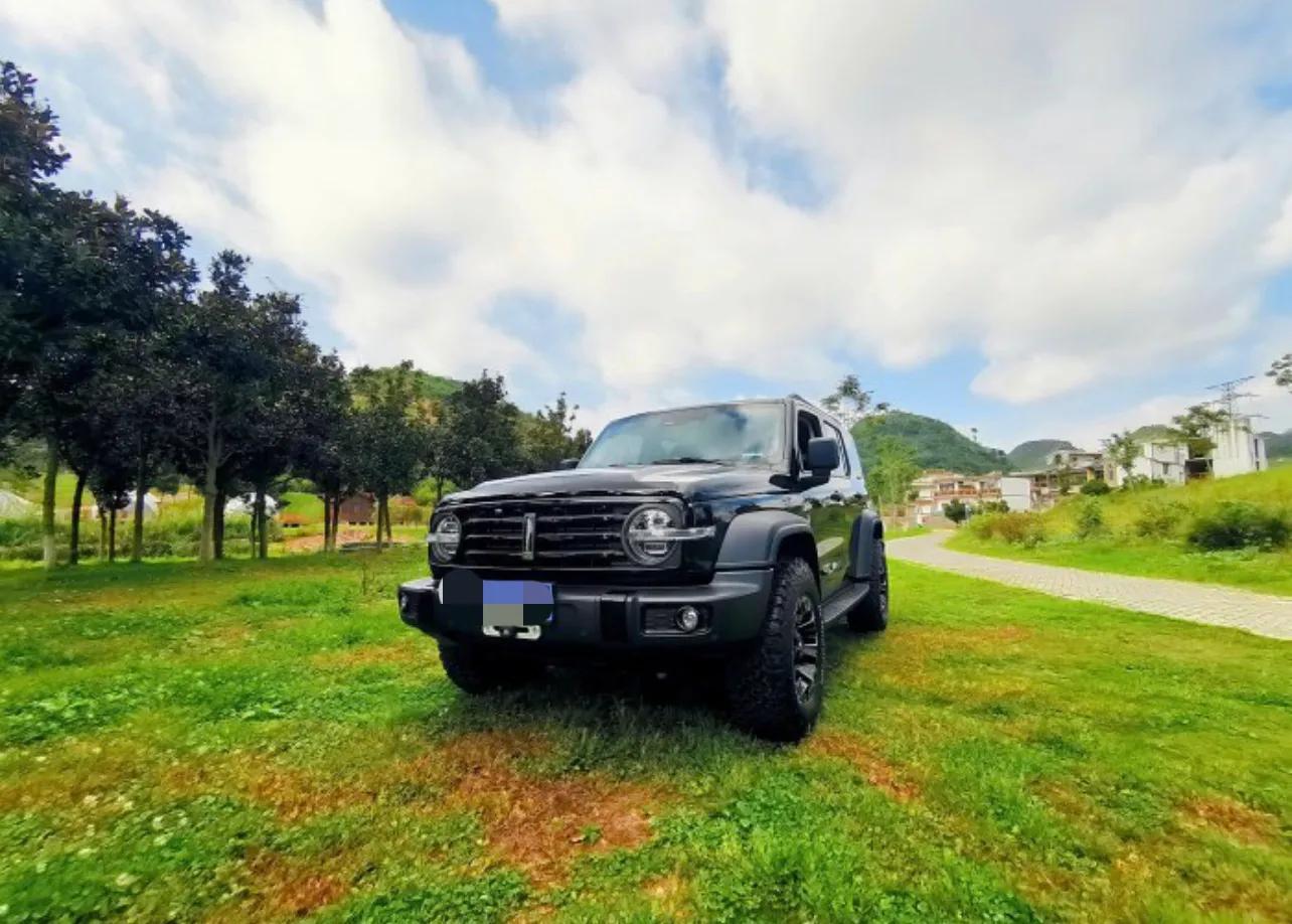 坦克300最新真实车主感受,坦克300城市版车主真实感受