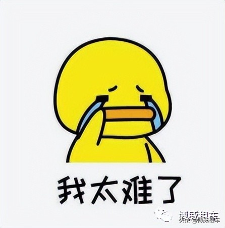 疫情之下，买不如租，带上“小鹏”，和花花草草“约”起来