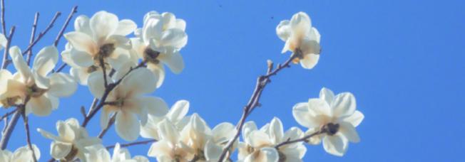 分享上百件小事,分享的一百件小事