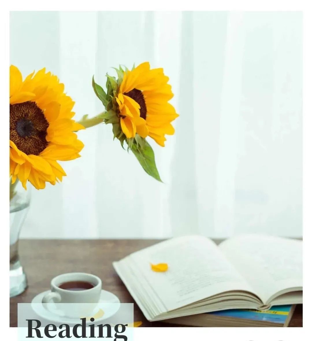 早安心语美句穿透人心几十句话,早安心语正能量图片语句一句话