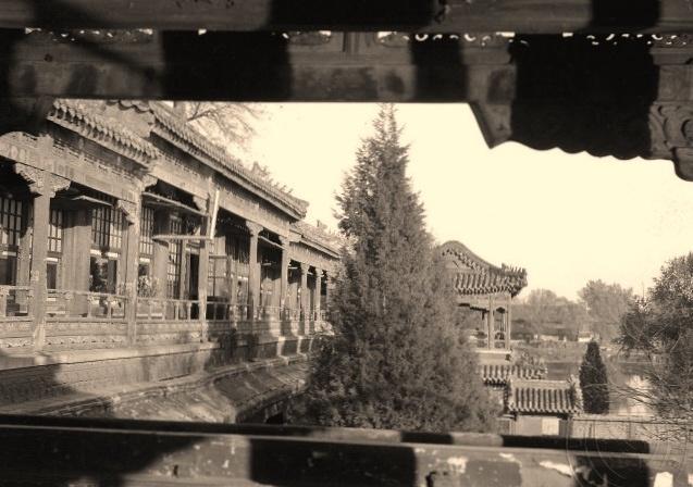 日军找“花姑娘”有多少*行暴**？老人回忆：日本兵没有一点人性