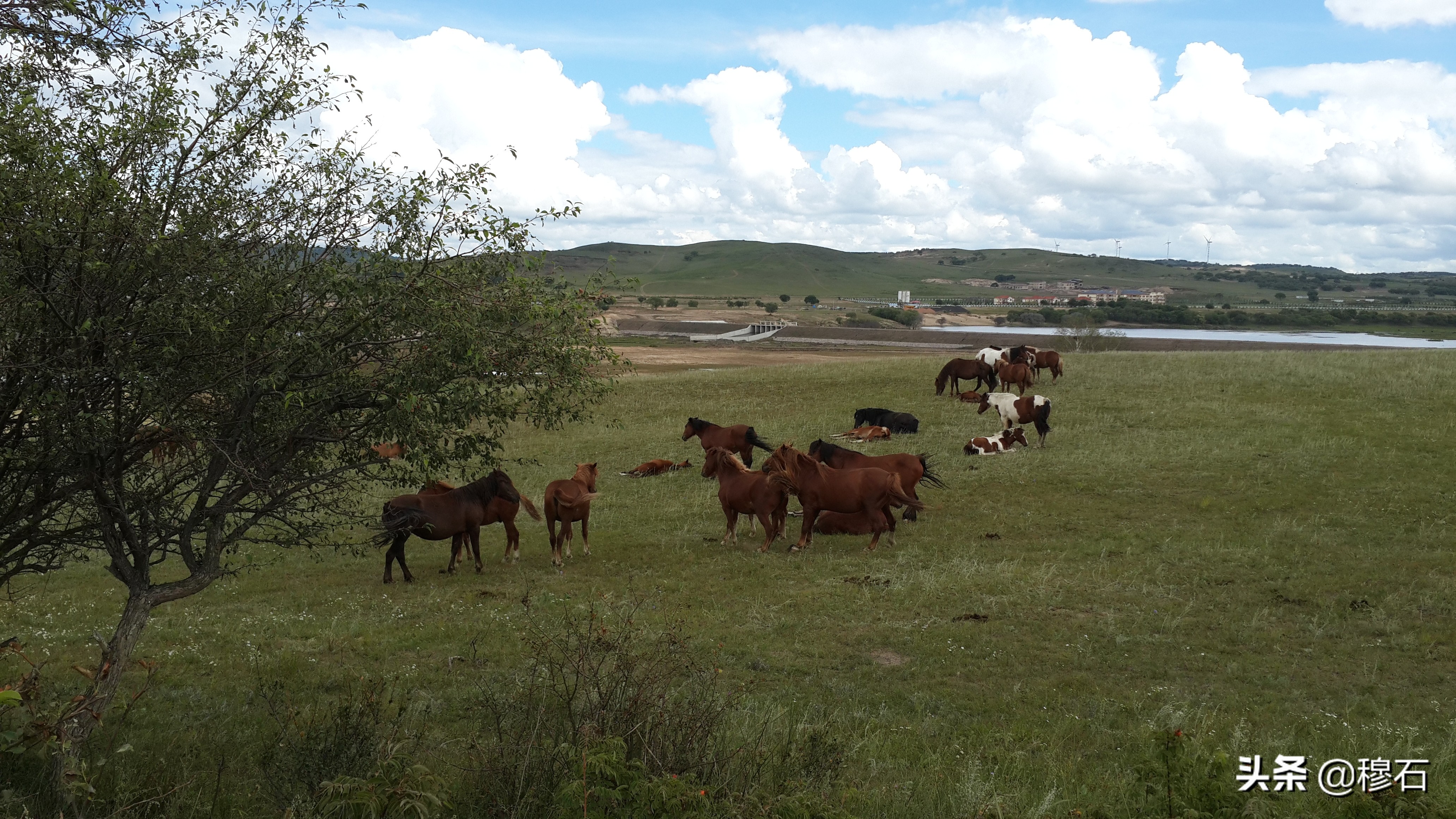 走进美丽的呼伦贝尔 (走进呼伦贝尔盟)