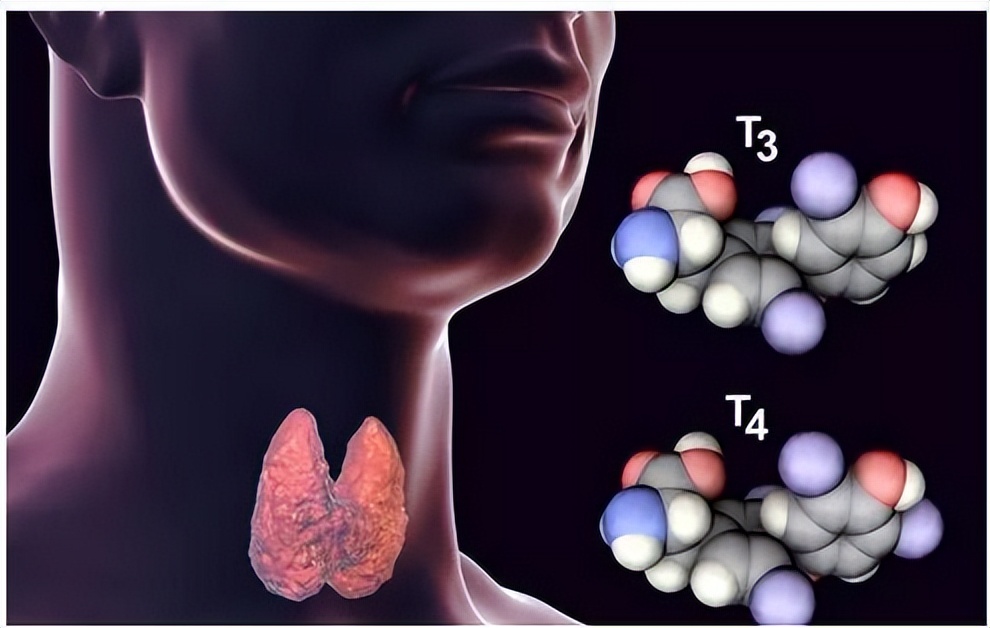 做完甲状腺五项有必要做七项吗,甲状腺功能五项和七项