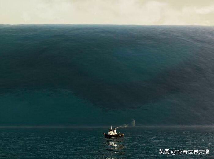 深海恐惧症最怕的100张图,深海恐惧症超长照片