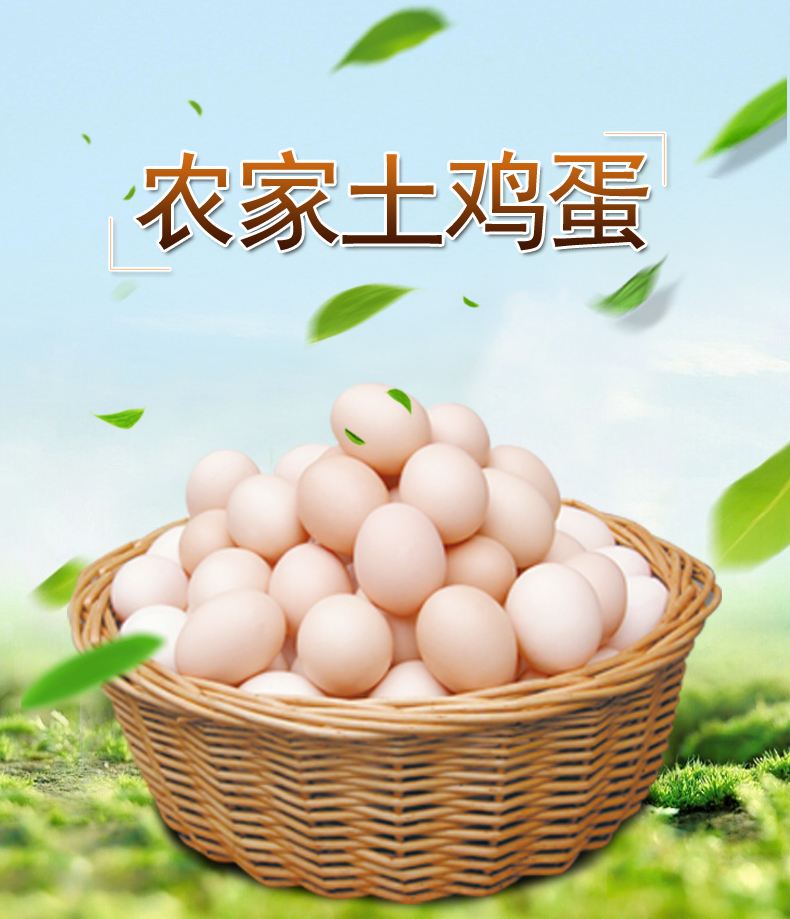 在县城如何销售土鸡蛋,卖土鸡蛋怎么做销路