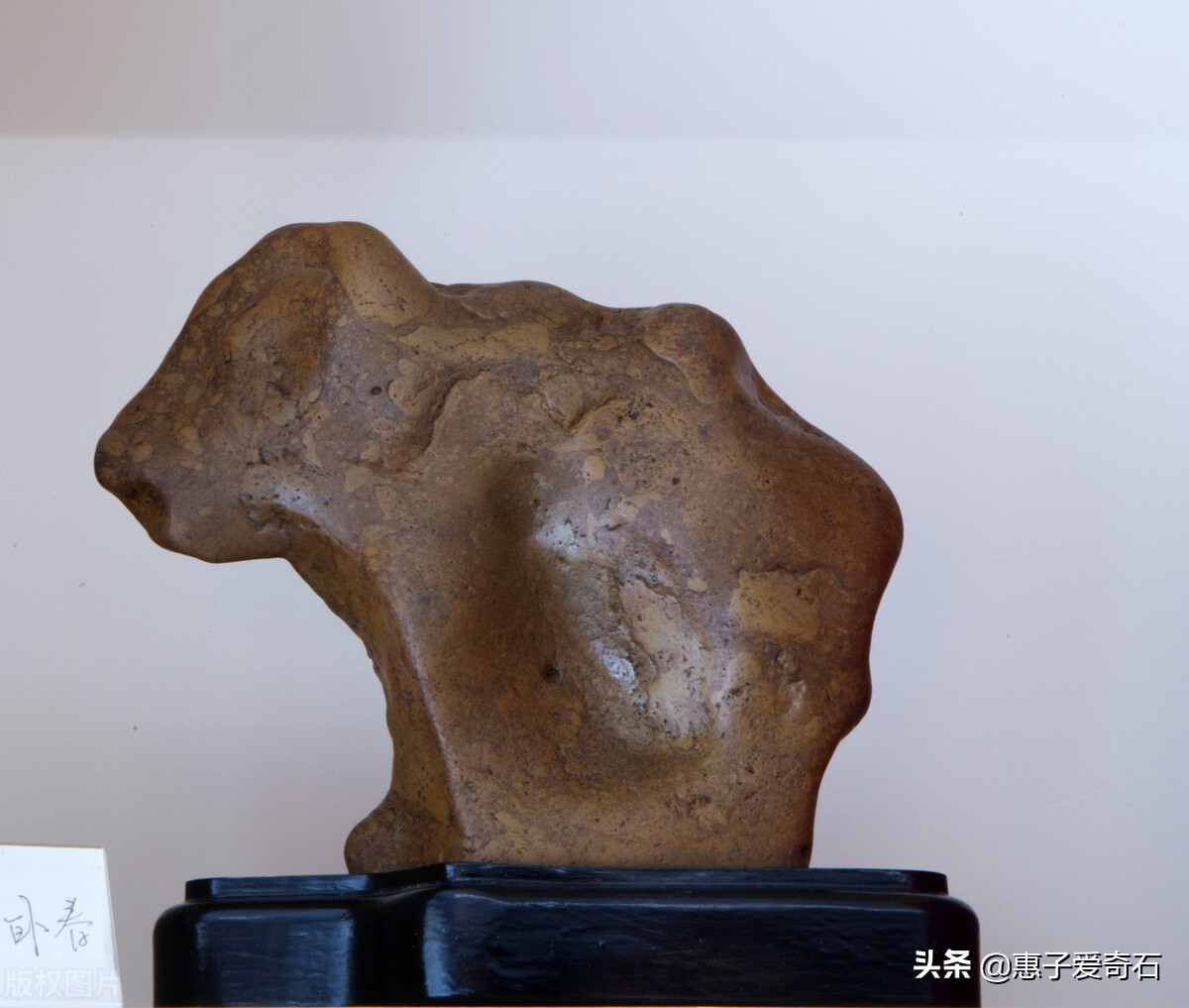 灵璧奇石珍珠石价格,灵璧上亿元的奇石