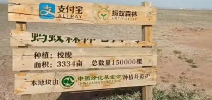 阿里蚂蚁森林怎么赚钱的,蚂蚁森林真的是阿里巴巴掏钱吗