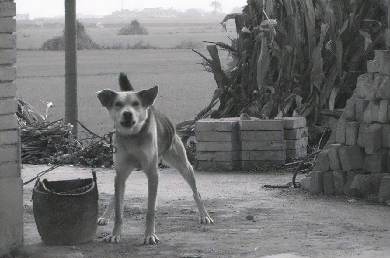 史上最经典的战法,史上最强一套经典战法