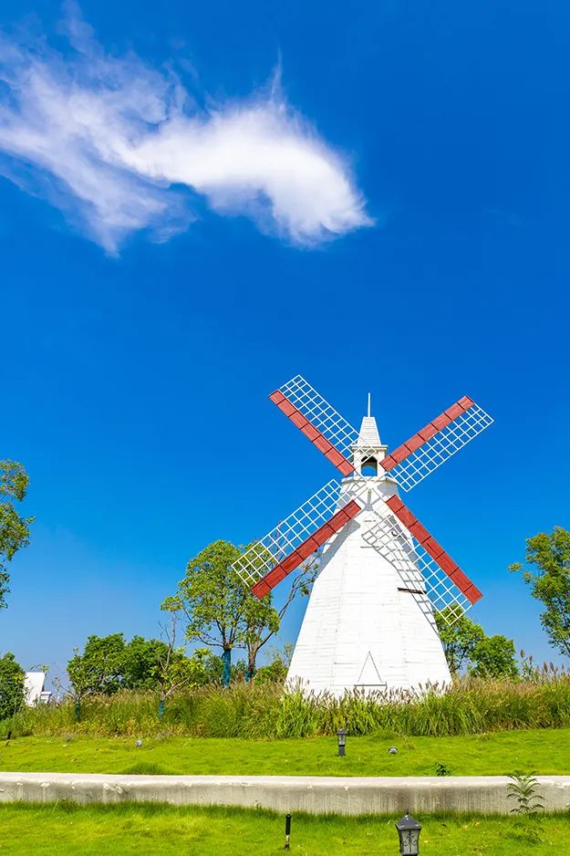 最近的泰兴,泰兴现在的样子