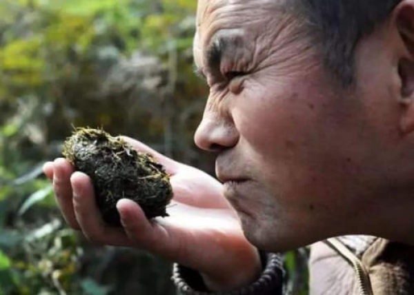 香水原料有粪便,香水是不是用动物粪便做成的