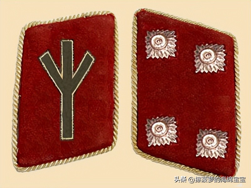 纳粹冲锋队用的什么枪,纳粹德军军衔图解