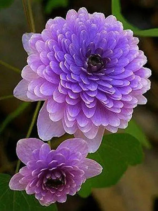 在春暖花开季节遇见浪漫,浪漫总是发生在春暖花开时配音