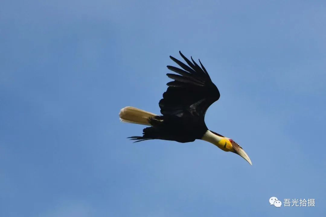 精彩绝伦作品图片,锦言精华作品