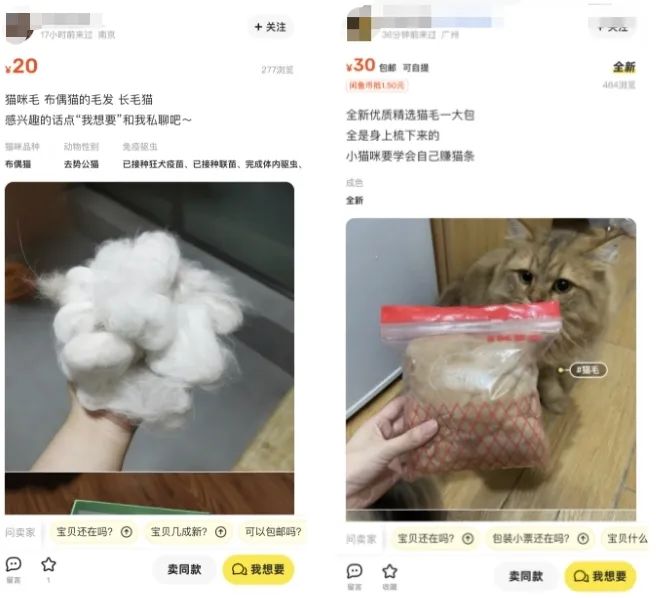 捡垃圾能做什么生意,捡垃圾可以做什么生意