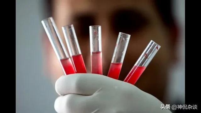 世界上鼻子最长的是什么动物,世界鼻子最长的人