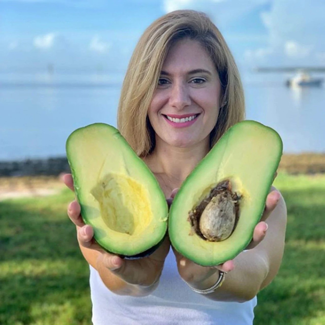 牛油果亩收益,牛油果进口一个多少钱