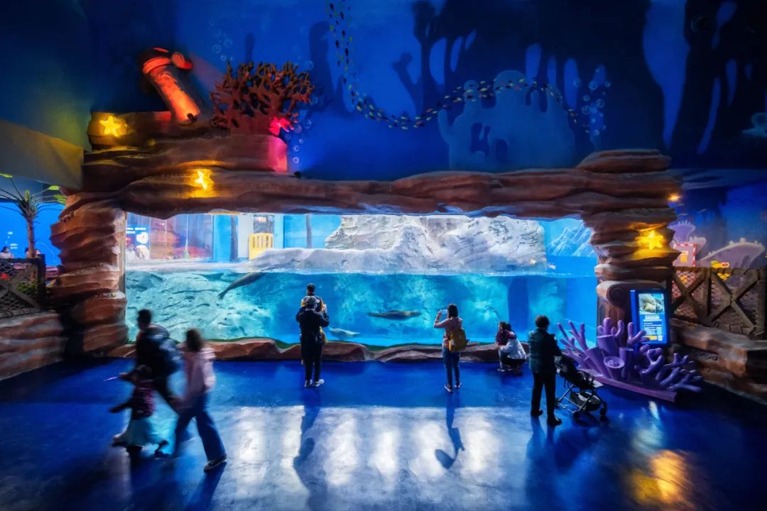 济南最好玩的旅游乐园,济南公园乐园有哪些好玩的