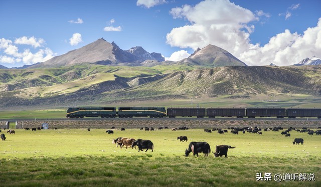 李娜原先出家在五台山哪个寺庙啊,李娜在五台山出家唱的佛教音乐