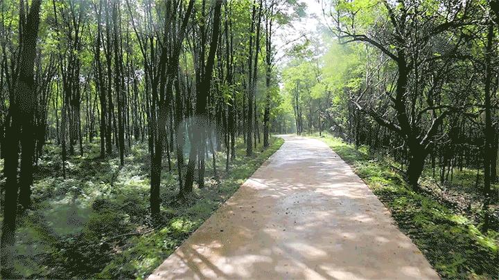 大美崇信，诚信之城欢迎您！