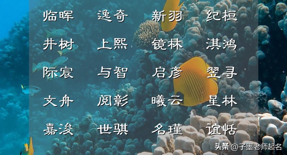 一听就很有教养的男孩名字,寓意大智若愚的名字