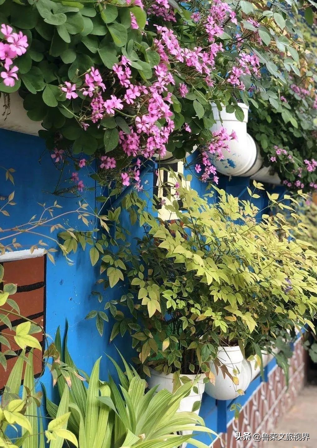 西安坐地铁旅游全攻略,西安半日游地铁