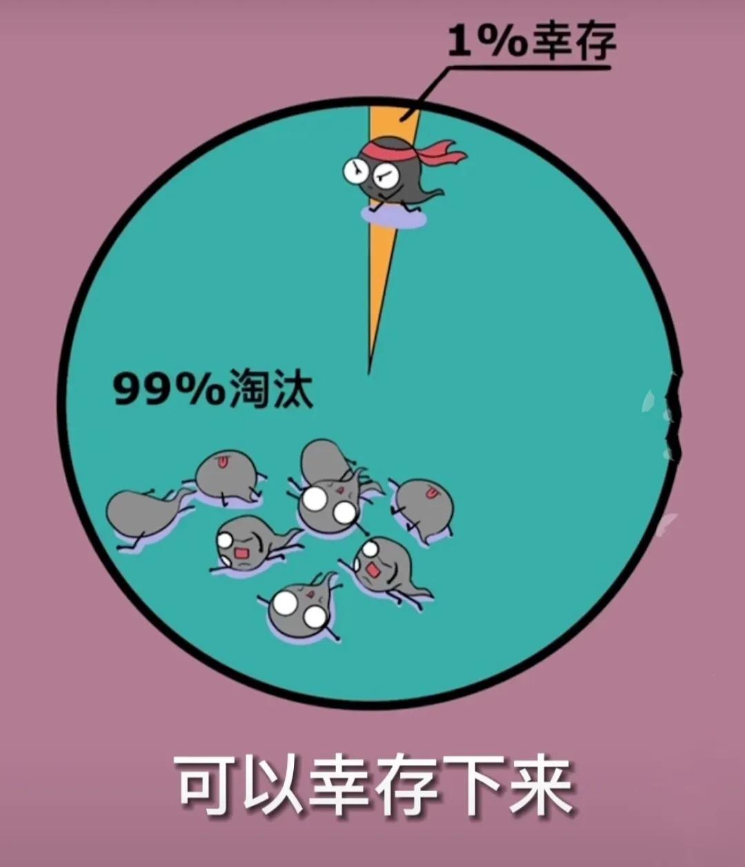 精子进入女孩体内后会经历什么?