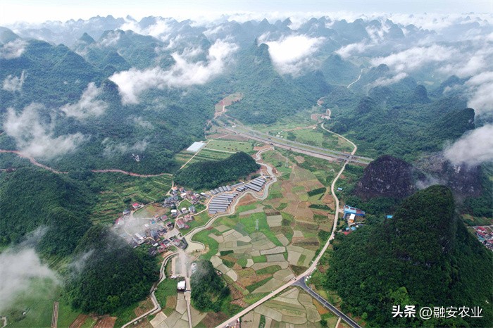 广西融安绘就美丽乡村画卷感想,融安泗顶田园航拍