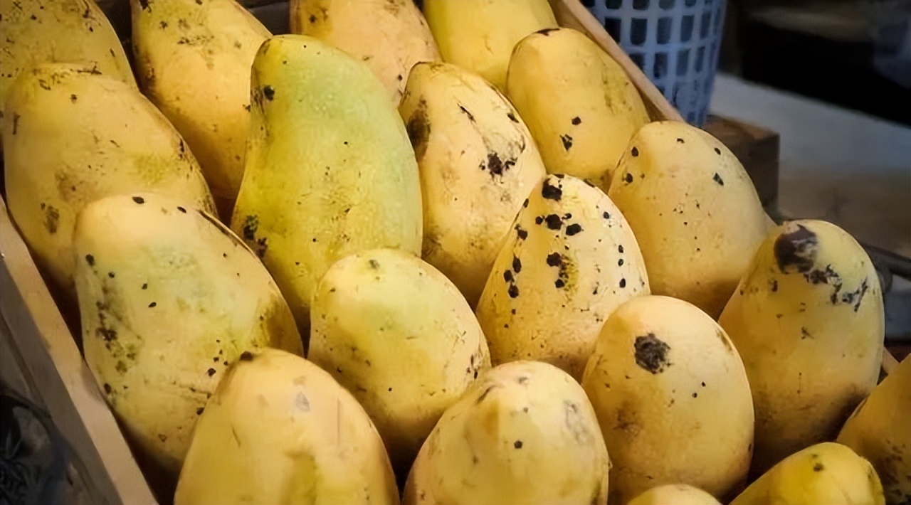 关于西瓜的消费提示,关于芒果的介绍语