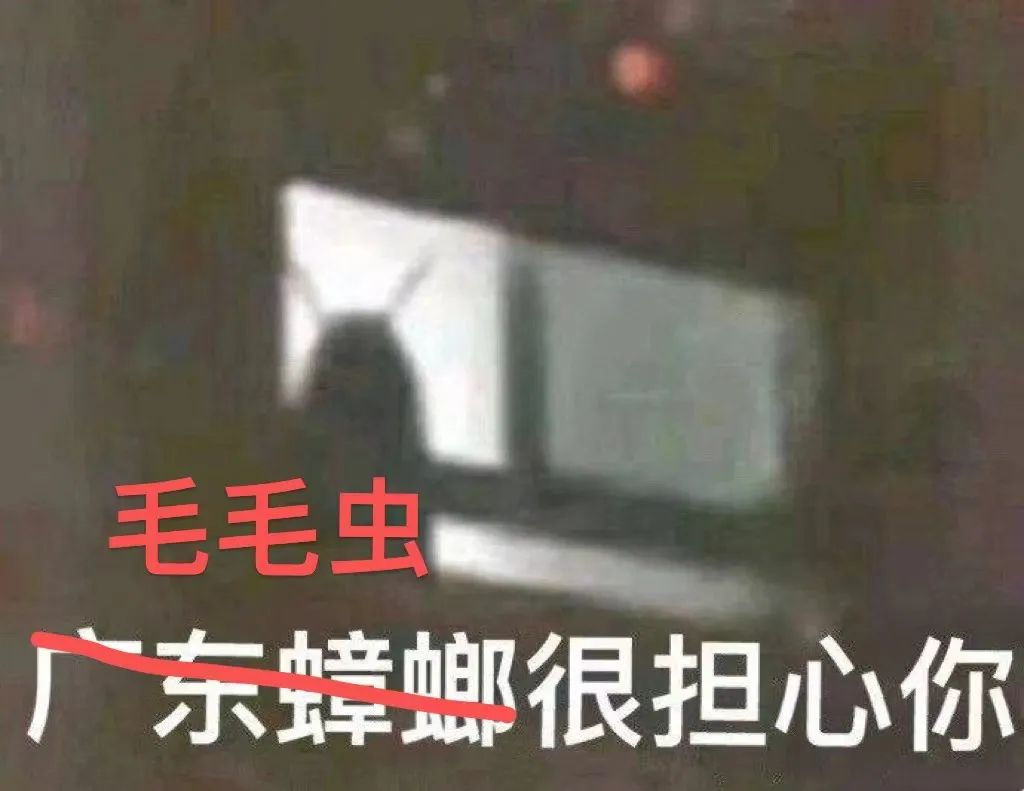 租房选到这层楼，人间第一冤大头