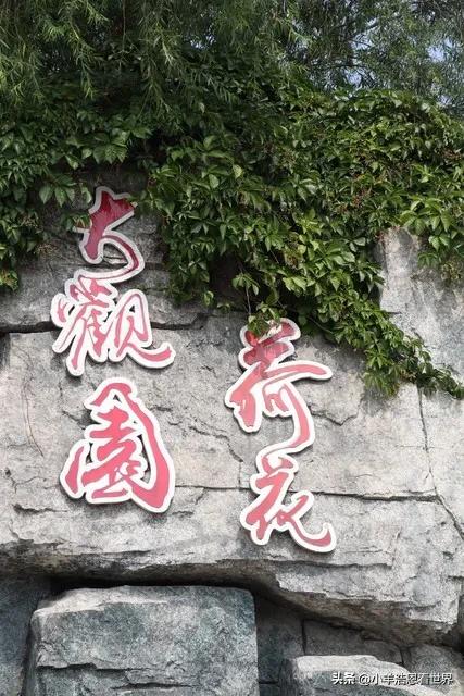 河北必去的十大景点排名,河北必去十大景点大全