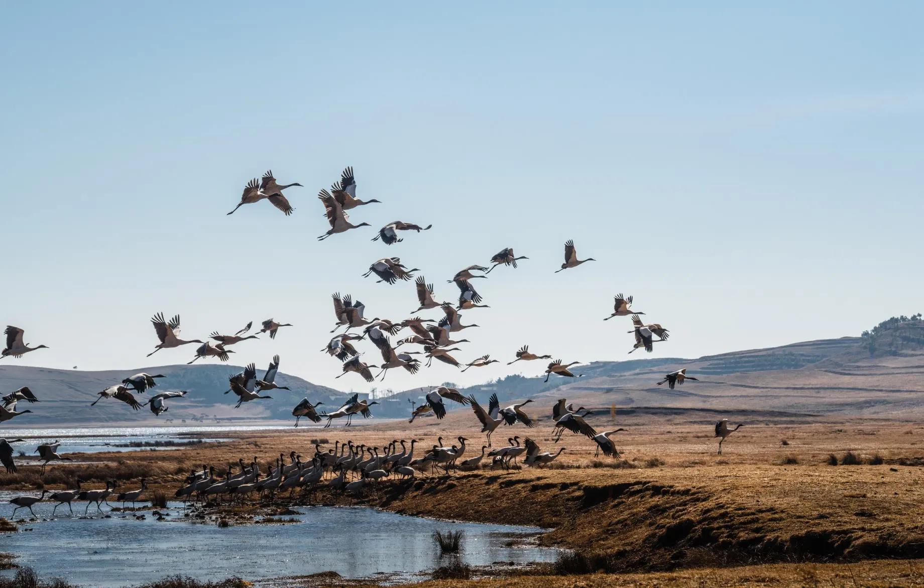 西双版纳10日行——走遍春夏秋冬，总会有人四季等你。