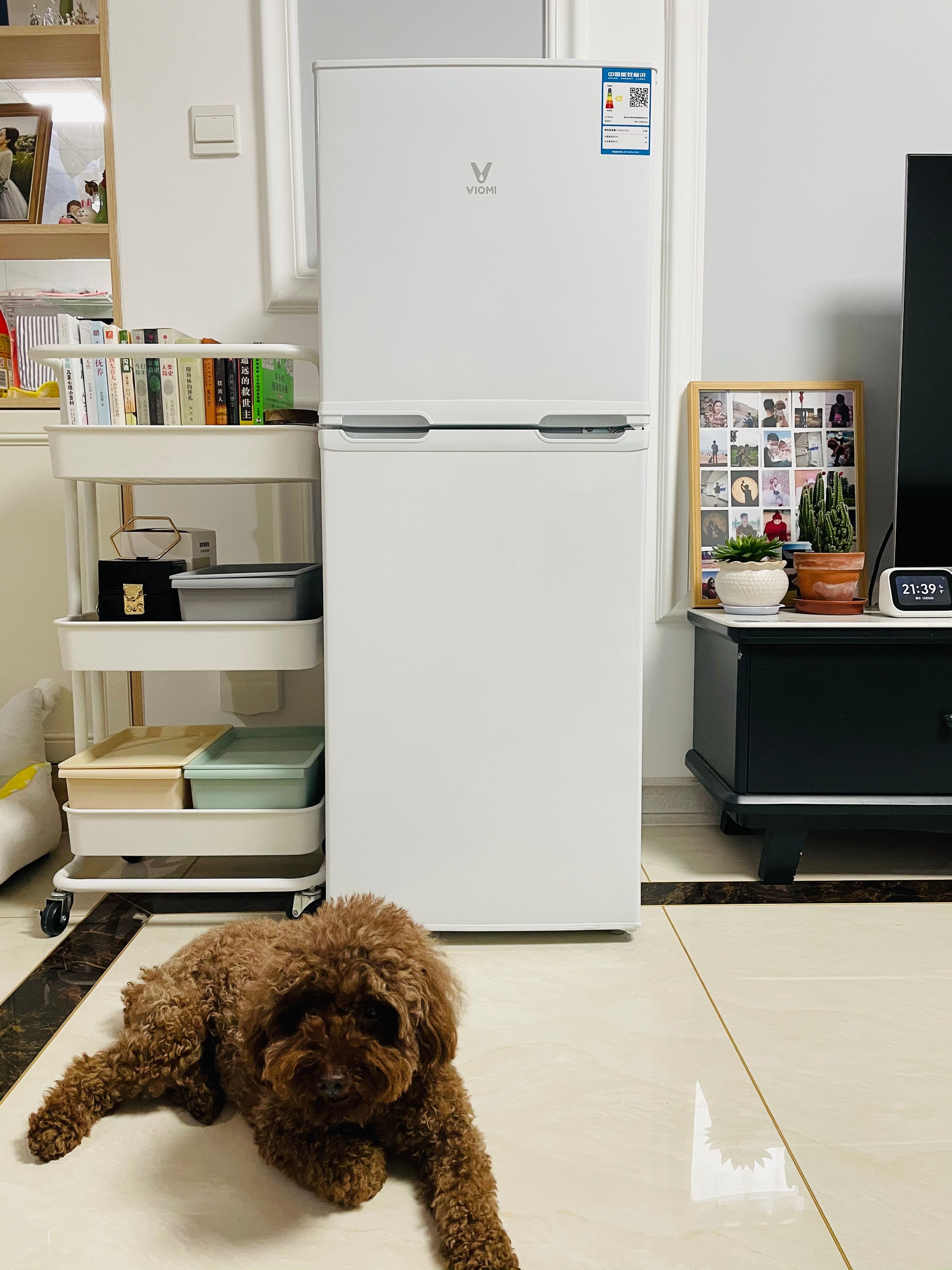 云米小冰箱怎么样值得购买吗,怎么选择好用又实惠的迷你小冰箱