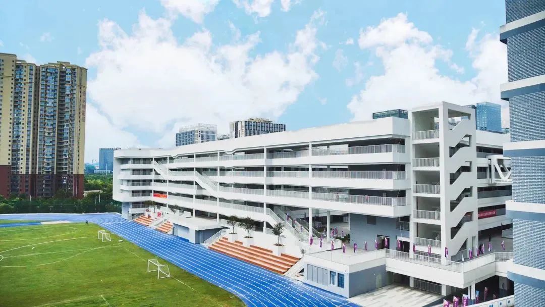 中考志愿普高能报几个学校,中考填报志愿热门专业