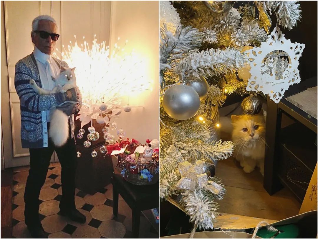 刘雯邓文迪,邓文迪杨紫琼