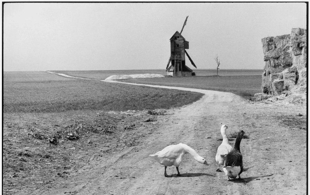 日寇侵入永州*行暴**实录，2000余妇女被奸淫，令人发指，罄竹难书