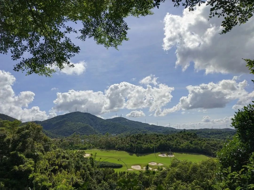 收藏打卡！坪山区原来有这么多地方可以逛，免费又好玩