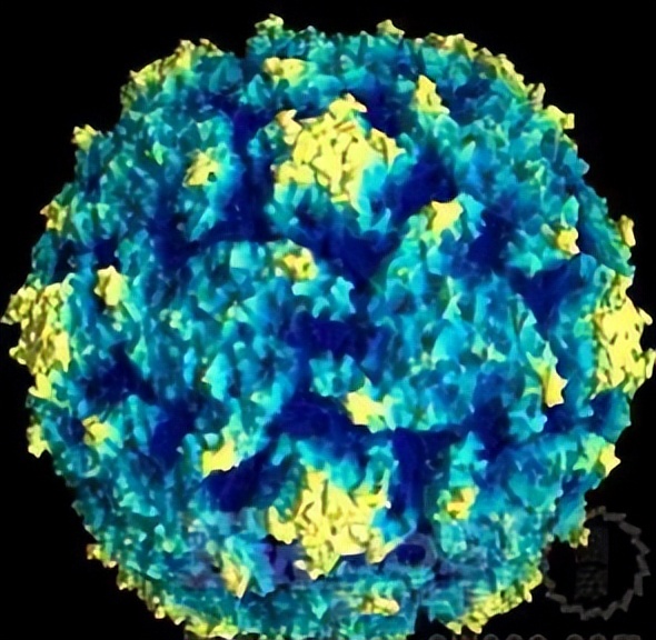 国家为什么停用糖丸,糖丸什么时候停用