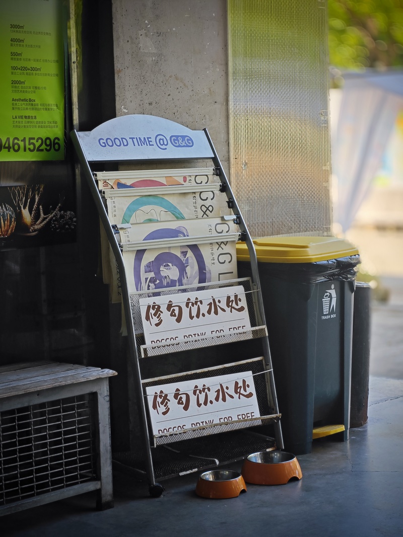 深圳ENJOY｜城市漫游指南·蛇口