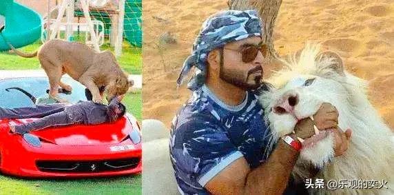 卡塔尔和迪拜哪个国家有钱,迪拜和卡塔尔哪个有钱