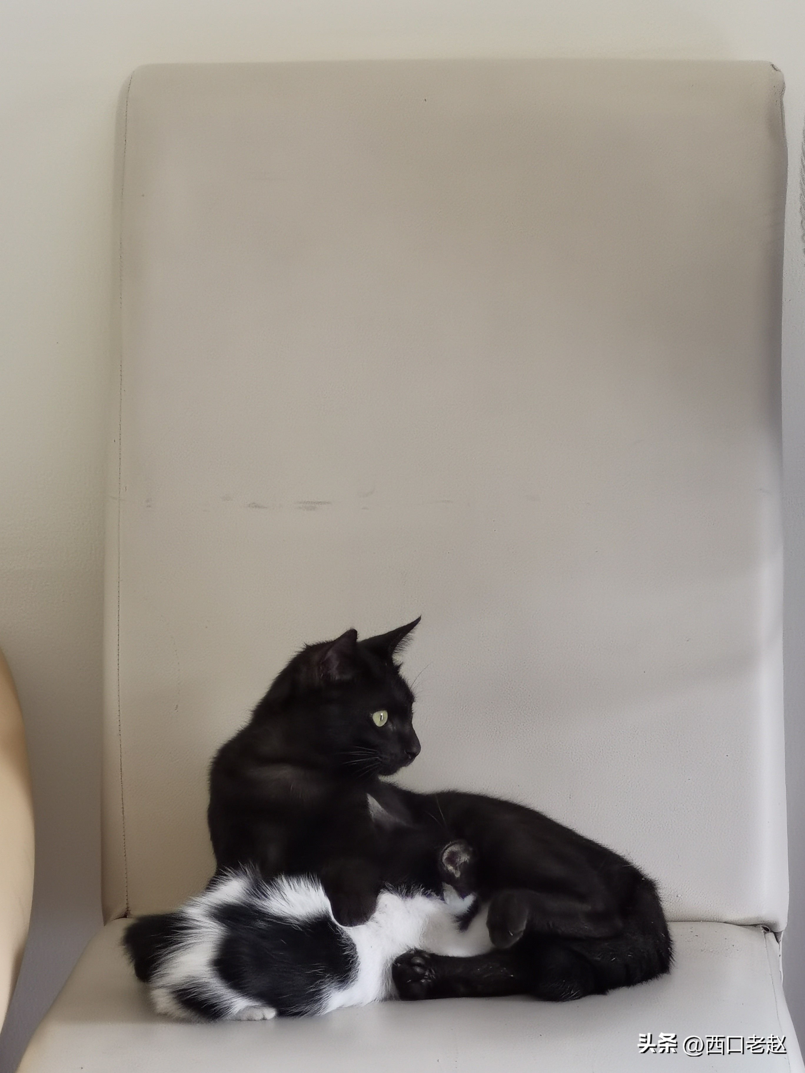 行走在国外的岁月33——致敬我的海外生涯